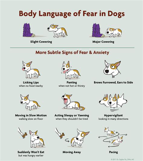 asl sign for dog behaviors.